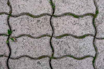 Interlocking Pavers are Durable and Functional!