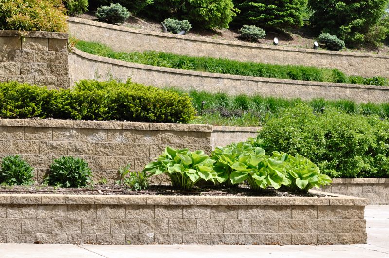 Enhances landscape design.