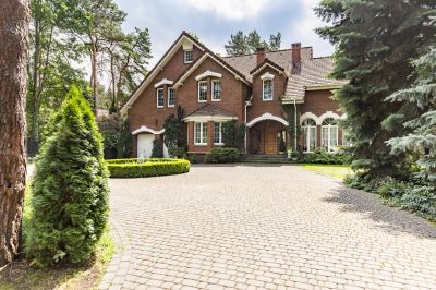Weed and Moss Removal